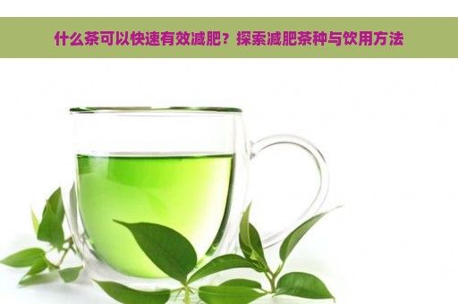 什么茶可以快速有效減肥？探索減肥茶種與飲用方法