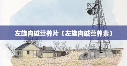 左旋肉堿營養(yǎng)片（左旋肉堿營養(yǎng)素）