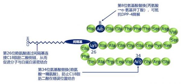 降糖新藥——司美格魯肽注射周制劑PK/PD大盤點(diǎn)