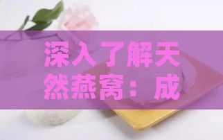 深入了解天然燕窝：成分、功效、挑选与食用全解析