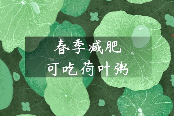 荷葉粥