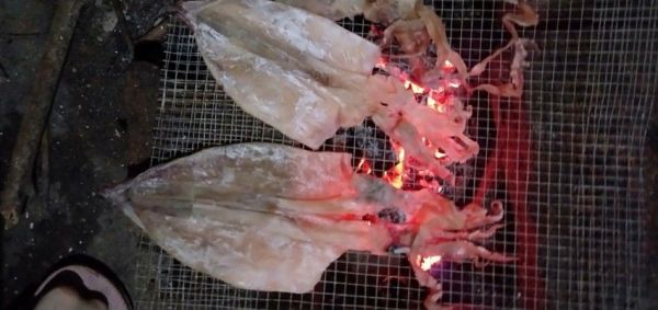 碳烤鱿鱼干(家庭做法)