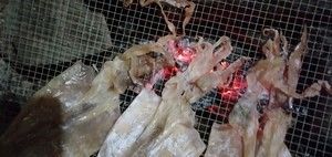 碳烤鱿鱼干(家庭做法)的做法步骤 第2步