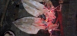 碳烤鱿鱼干(家庭做法)的做法步骤 第4步