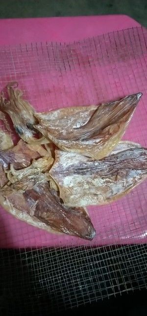 碳烤鱿鱼干(家庭做法)的做法步骤 第5步