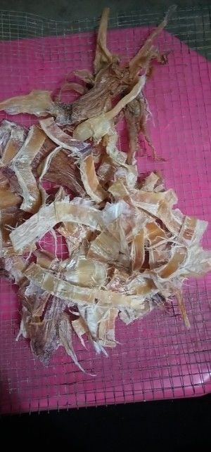 碳烤鱿鱼干(家庭做法)的做法步骤 第6步