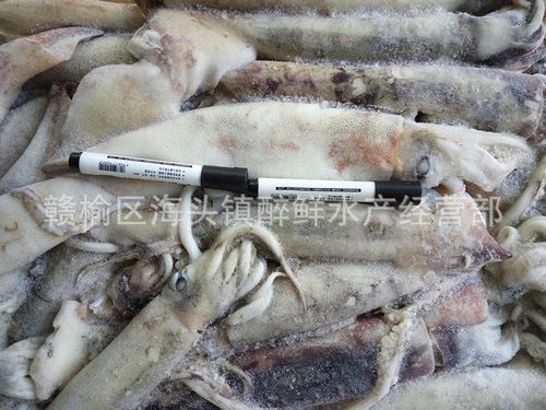 魷魚的熱量高嗎