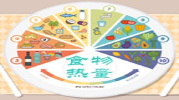 魷魚脂肪多還是蛋白多？減肥不能吃嗎？或許你對它有很多誤解