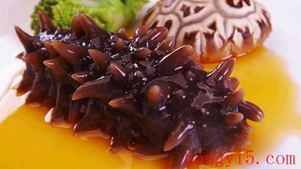 海參800.jpg