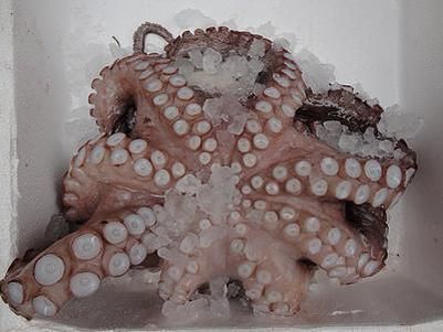 魷魚是高熱量的食物嗎?減肥可不可以吃?你都知道嗎~