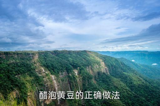 醋泡黄豆的正确做法