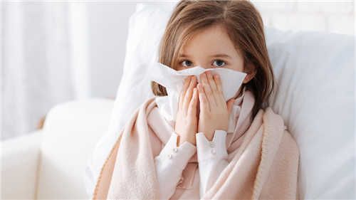 你一定不知道的饮食减肥真相