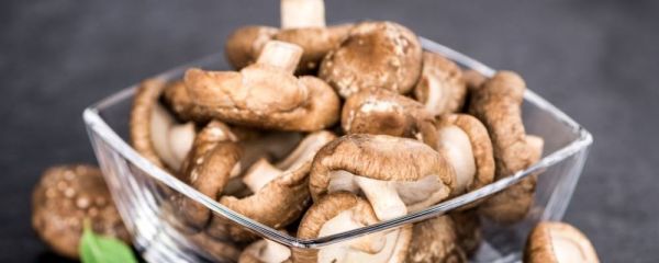 夏天高血脂病人如何护理 如何预防高血脂 高血脂的护理事项