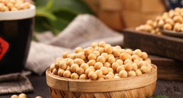 黃豆的性質(zhì)與功效（科學(xué)分析黃豆的熱涼屬性）