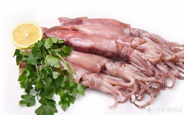 魷魚和章魚的區(qū)別，你喜歡吃哪一種？