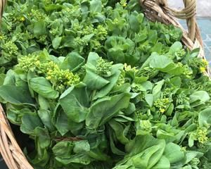 探秘萬(wàn)年青菜的營(yíng)養(yǎng)與烹飪方法（萬(wàn)能又健康的蔬菜）