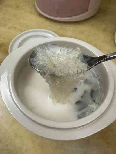 養(yǎng)顏燕窩燉奶怎么做