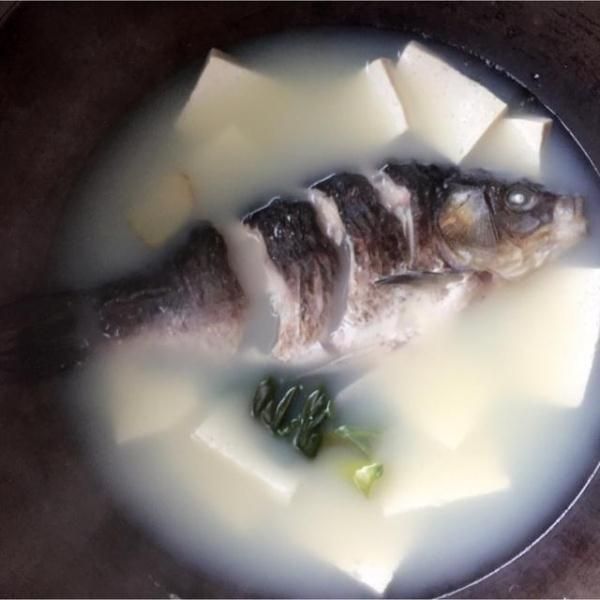 熬出牛奶一般的鲫鱼豆腐汤, 做法简单, 值得一学