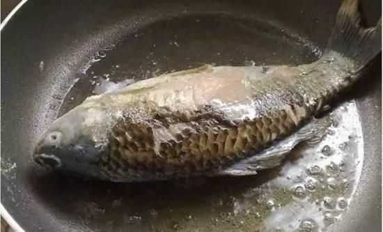 熬出牛奶一般的鲫鱼豆腐汤, 做法简单, 值得一学