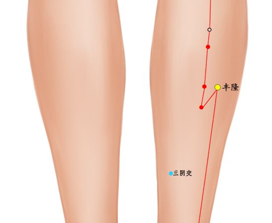 三伏天艾灸排濕灸哪里 關(guān)元穴溫陽(yáng)固本祛寒除濕 足三里穴健脾和胃燥濕化痰