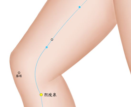 三伏天艾灸排濕灸哪里 關(guān)元穴溫陽(yáng)固本祛寒除濕 足三里穴健脾和胃燥濕化痰