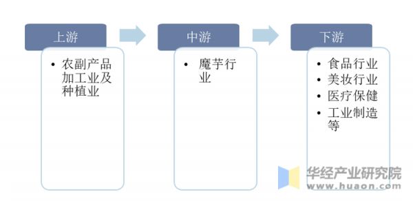 魔芋行業(yè)產(chǎn)業(yè)鏈