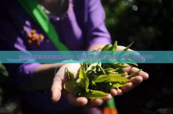 普洱減肥茶真的能減肥嗎？女性減肥茶排行榜之一名，效果如何？