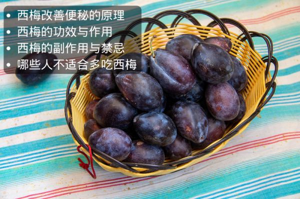 吃西梅促進(jìn)排便嗎？西梅通便的原理與禁忌