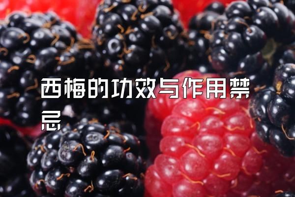 西梅的功效與作用禁忌