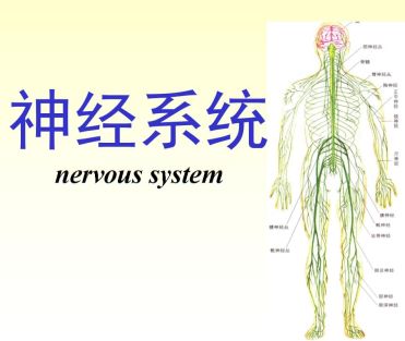 微信圖片_20240705110315.png