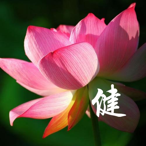 陶兰燕