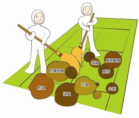 健康的第一道防線鈥斺敵γ齠ǔっ
