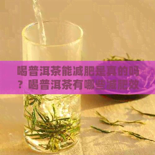 喝普洱茶能減肥是真的嗎？喝普洱茶有哪些減肥效果？