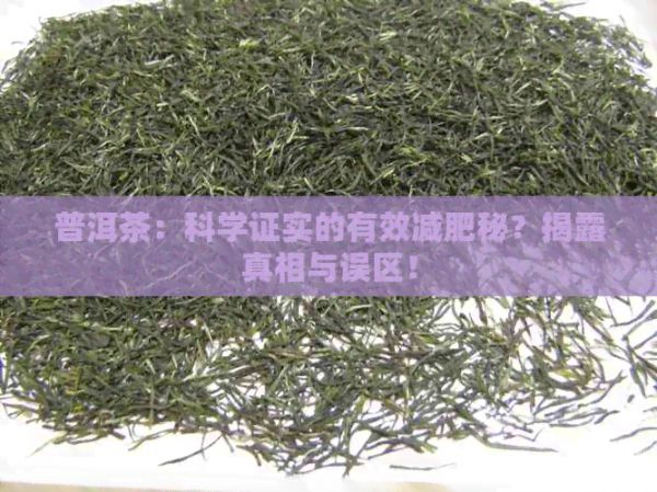 普洱茶：科學證實的有效減肥秘？揭露真相與誤區(qū)！