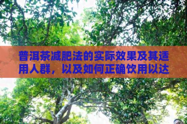 普洱茶減肥法的實際效果及其適用人群，以及如何正確飲用以達(dá)到減肥效果
