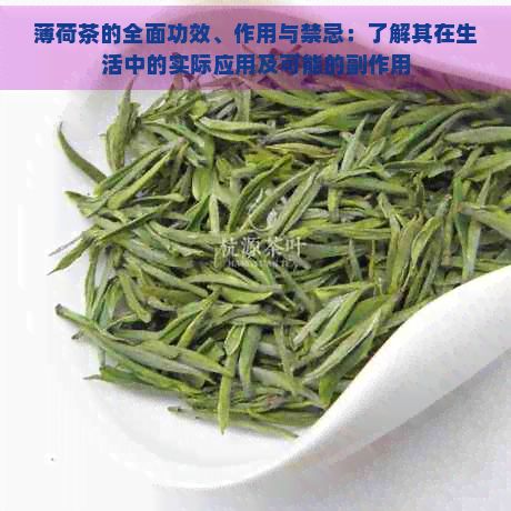 薄荷茶的全面功效、作用與禁忌：了解其在生活中的實(shí)際應(yīng)用及可能的副作用