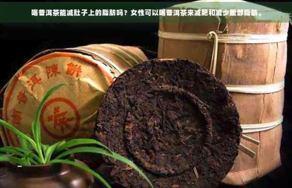 喝普洱茶能減肚子上的脂肪嗎？女性可以喝普洱茶來減肥和減少腹部脂肪。