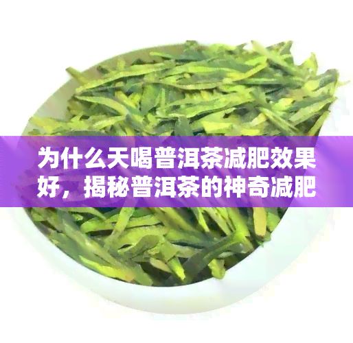 為什么天喝普洱茶減肥效果好，揭秘普洱茶的神奇減肥功效，讓你輕松享“瘦”