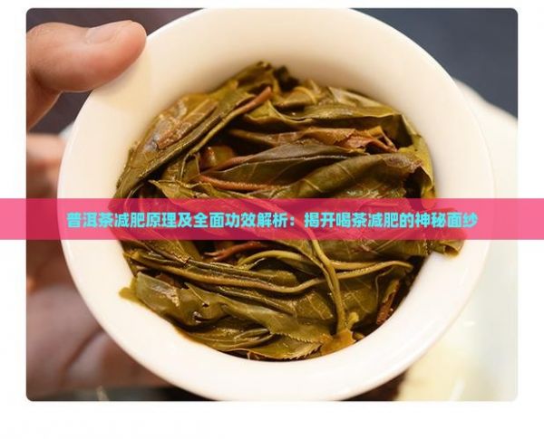 普洱茶减肥原理及全面功效解析：揭开喝茶减肥的神秘面纱