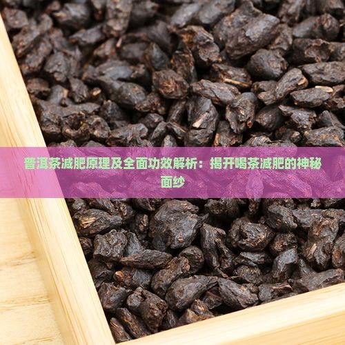 普洱茶减肥原理及全面功效解析：揭开喝茶减肥的神秘面纱