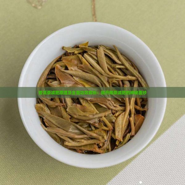 普洱茶减肥原理及全面功效解析：揭开喝茶减肥的神秘面纱