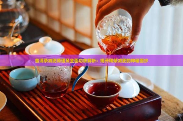 普洱茶减肥原理及全面功效解析：揭开喝茶减肥的神秘面纱