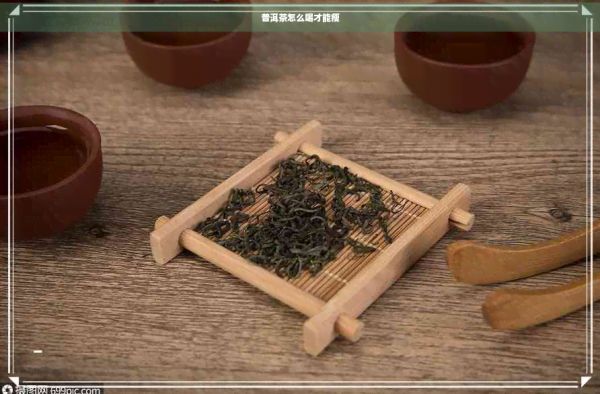 普洱茶怎么喝才能瘦