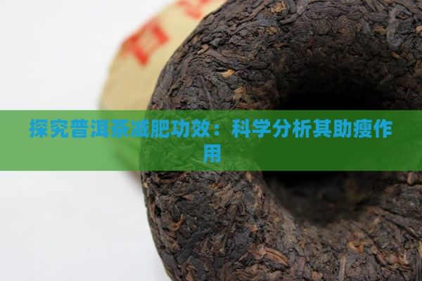 探究普洱茶減肥功效：科學(xué)分析其助瘦作用