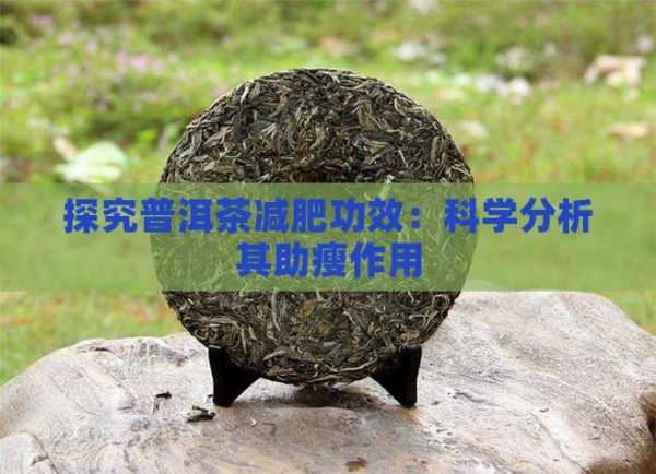 探究普洱茶減肥功效：科學(xué)分析其助瘦作用