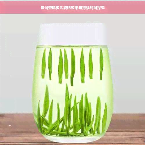 普洱茶喝多久減肥效果與持續(xù)時間探究