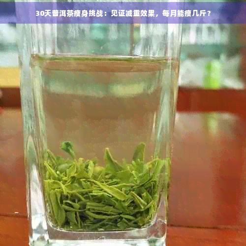 30天普洱茶瘦身挑戰(zhàn)：見證減重效果，每月能瘦幾斤？