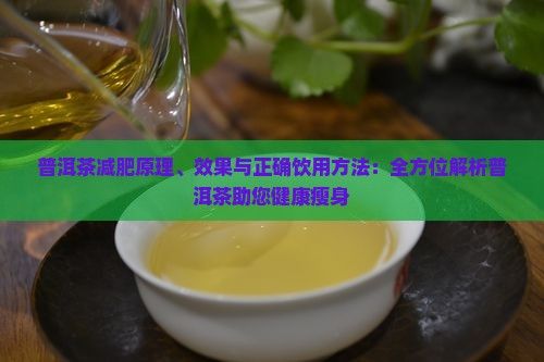 普洱茶减肥原理、效果与正确饮用方法：全方位解析普洱茶助您健康瘦身