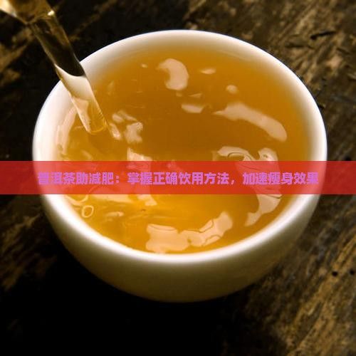普洱茶助減肥：掌握正確飲用方法，加速瘦身效果