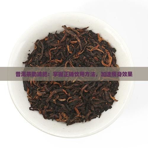 普洱茶助減肥：掌握正確飲用方法，加速瘦身效果